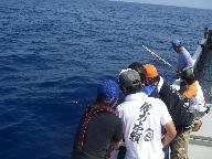 ４人掛かりで釣り上げる。