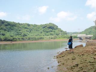 干潮の川。